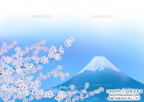 満開の桜と富士山