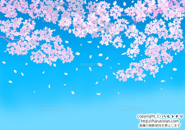 青空と桜 イラストレーター ハルトナリ