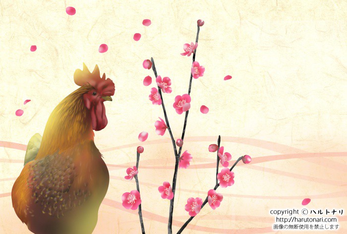 鶏と紅梅 イラストレーター ハルトナリ